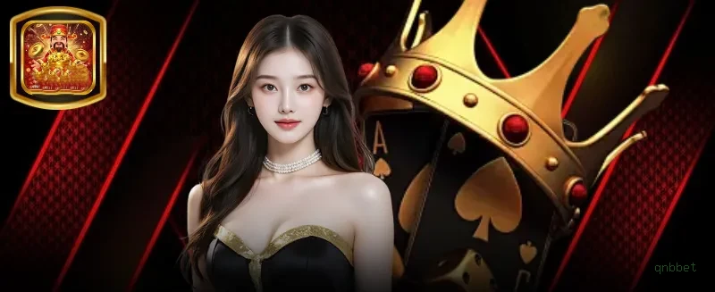 Como instalar o app da qnbbet